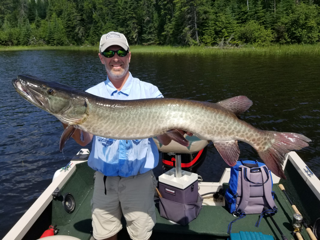 Northern Wisconsin Summer Fishing Tips: Big Bass & Pike (Multi