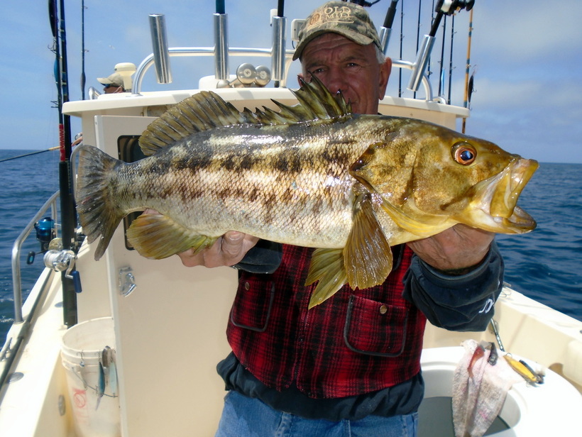 Calico Bass Tackle Recommendations Socal Scene - BDoutdoors