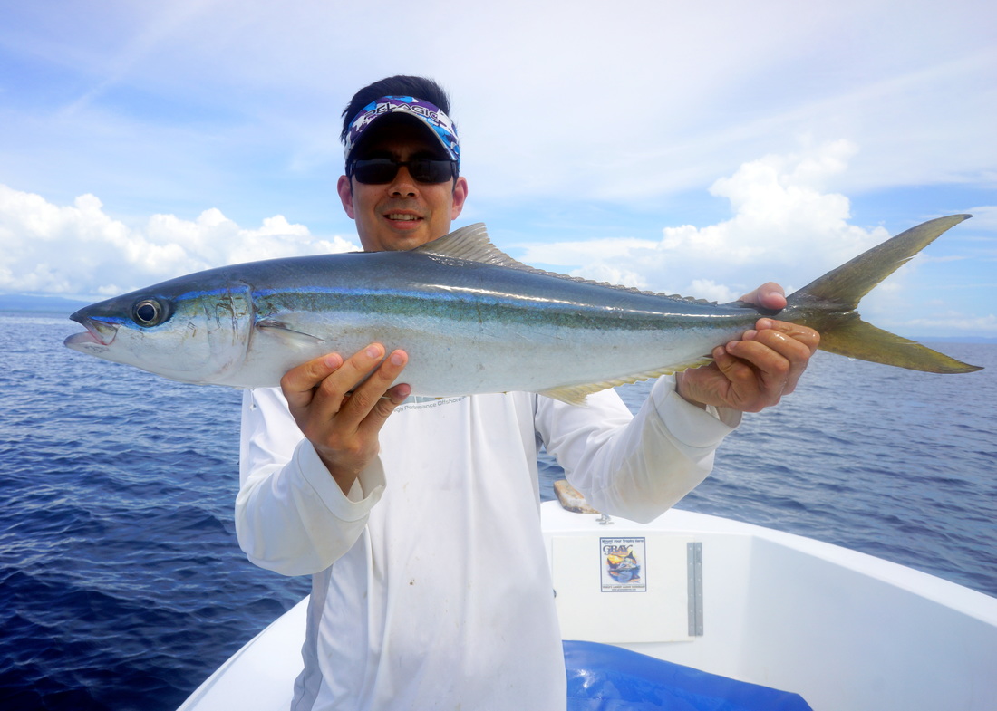 How to Catch a Rainbow Runner and Prepare This Fish to Eat - Fish Panama  Today