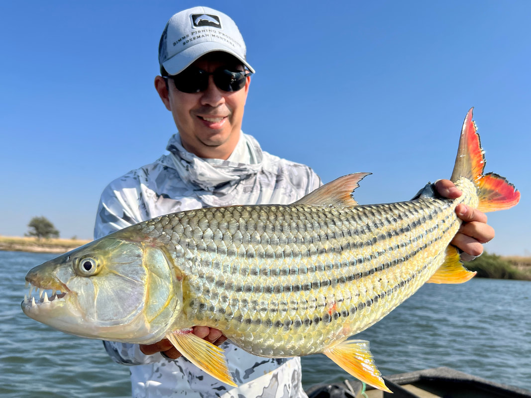 How To Catch African Tigerfish