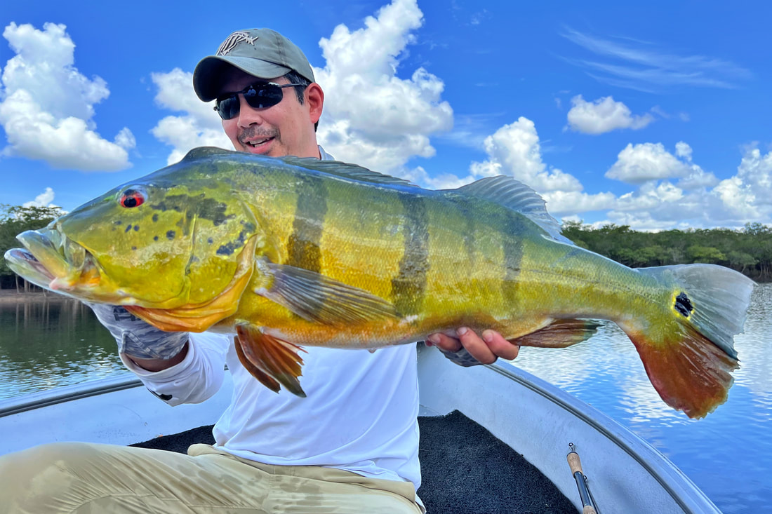 Best Jerkbaits for Bass Fishing Through the Seasons - Florida Sportsman