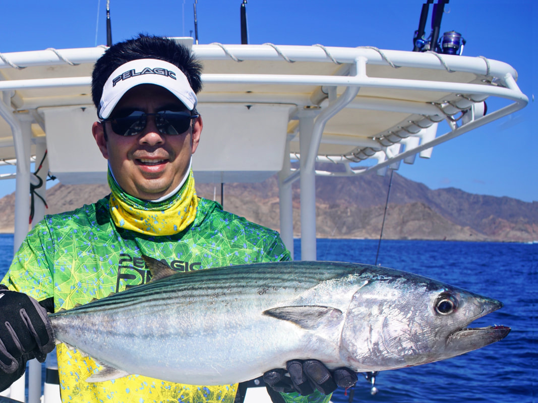 How to Catch Bonito - Tips for Fishing for Bonito