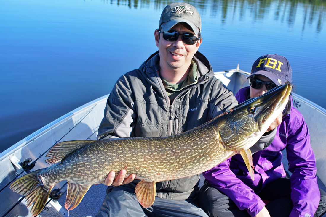 Photos of Stick Baits for Northern Pike Fishing