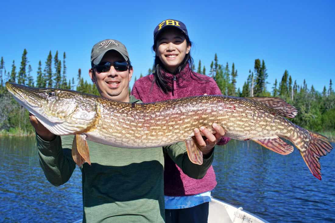 How to Catch Trophy Pike in The Fall