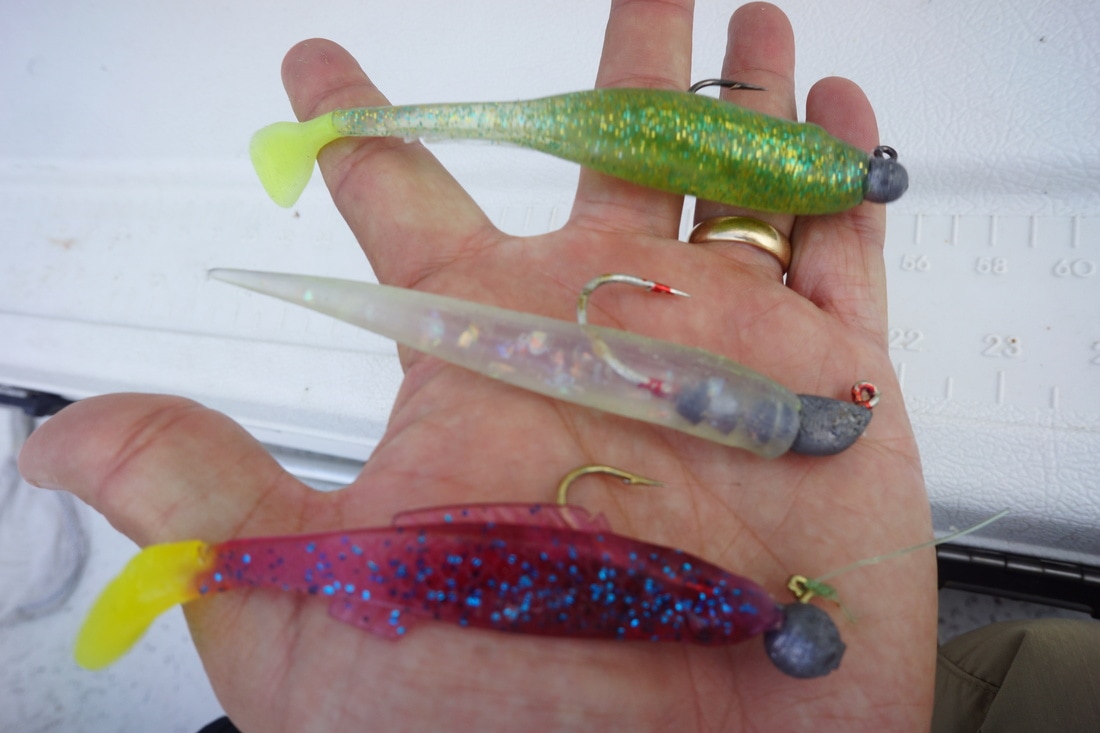 How to catch speckled trout with lures and bait