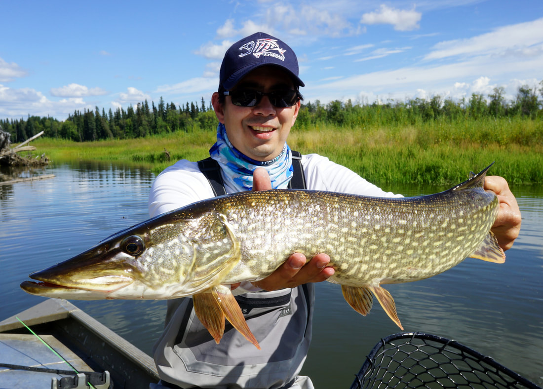 Summer swimbaits for Pike and how to fish them with the right gear