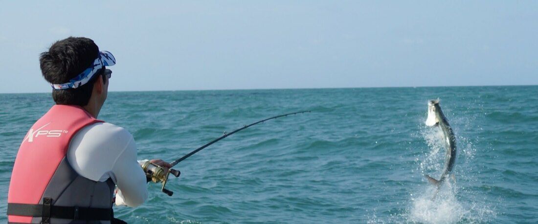 Beautiful blue fly fishing reel  Fishing reels, Fly fishing tips, Fly  fishing