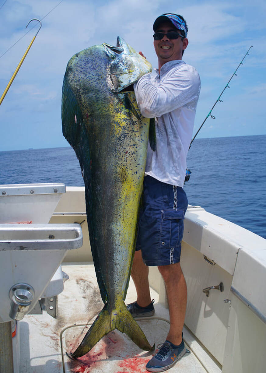 Big Game Saltwater Marlin Trolling Lures Mahi, Dolphin, Wahoo, Tuna,  Sailfish