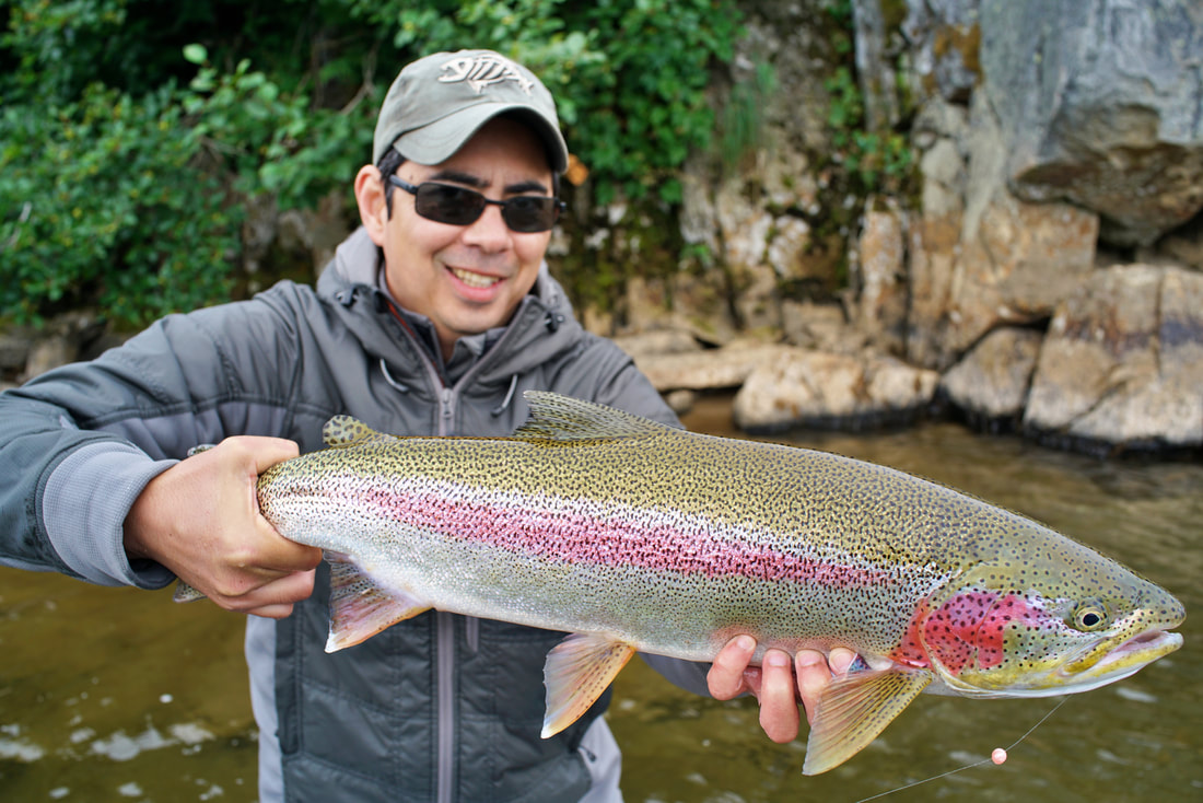10 Top Spots to Look for While Trout Fishing - Game & Fish