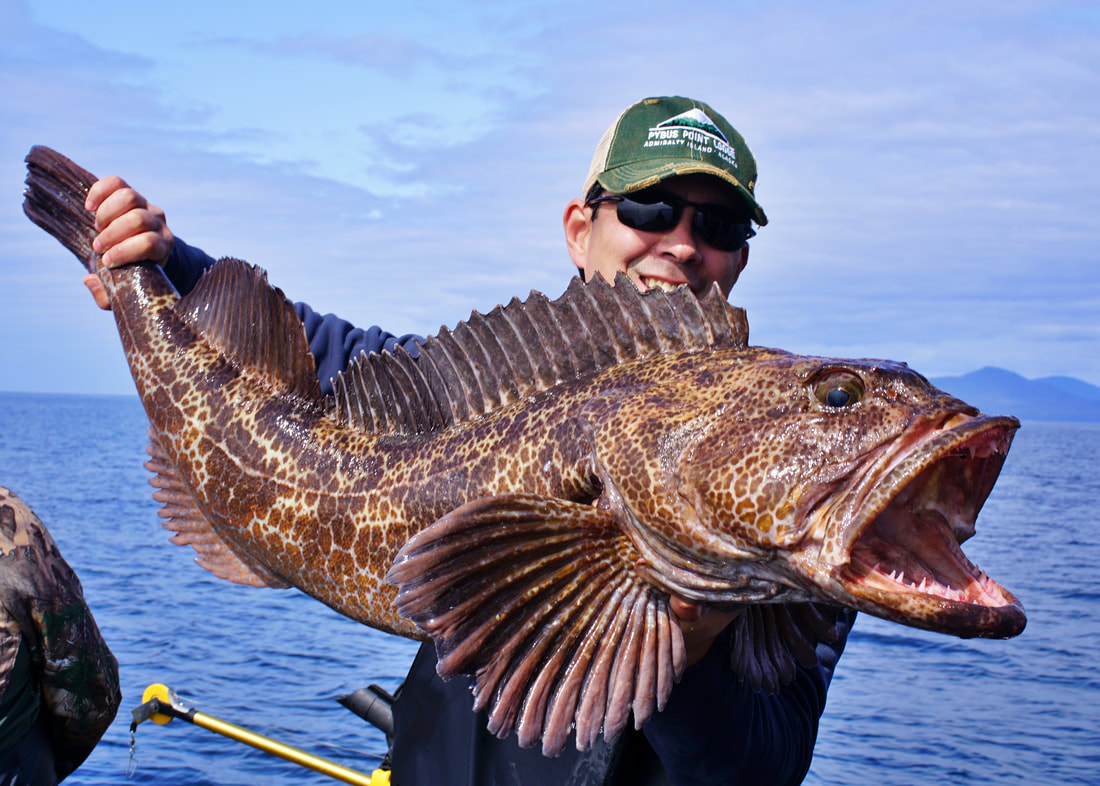 How to Catch Lingcod - Tips for Fishing for Lingcod