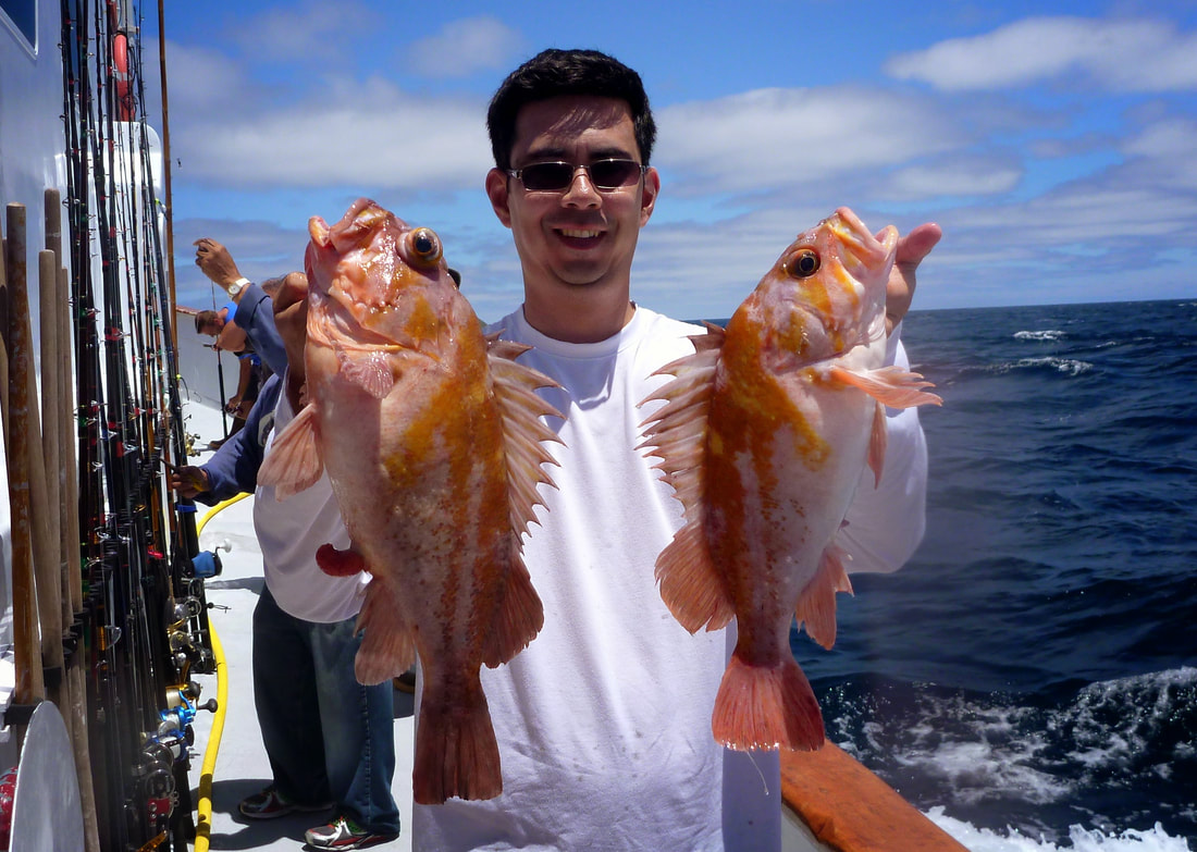 How to Catch Rockfish - Tips for Fishing For Rockfish