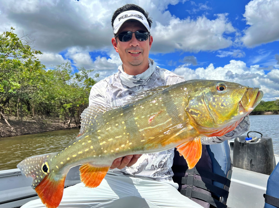 Fly-Fishing for Trophy Peacock Bass in Columbia, Holidays