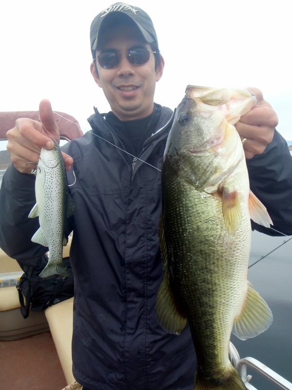 Get mid-diving, shallow, and lipless crankbaits and catch more bass -  Castaic Fishing