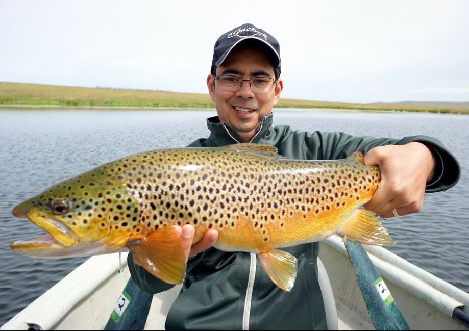 4 pound brown trout  World Sea Fishing Forums