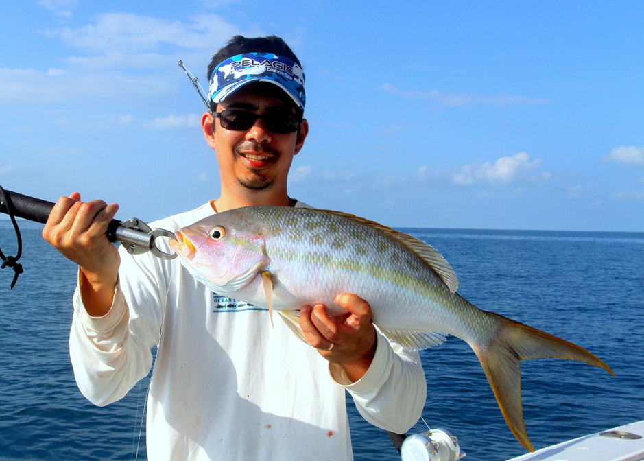 How To Rig For Yellowtail Snapper Fishing - Florida Keys