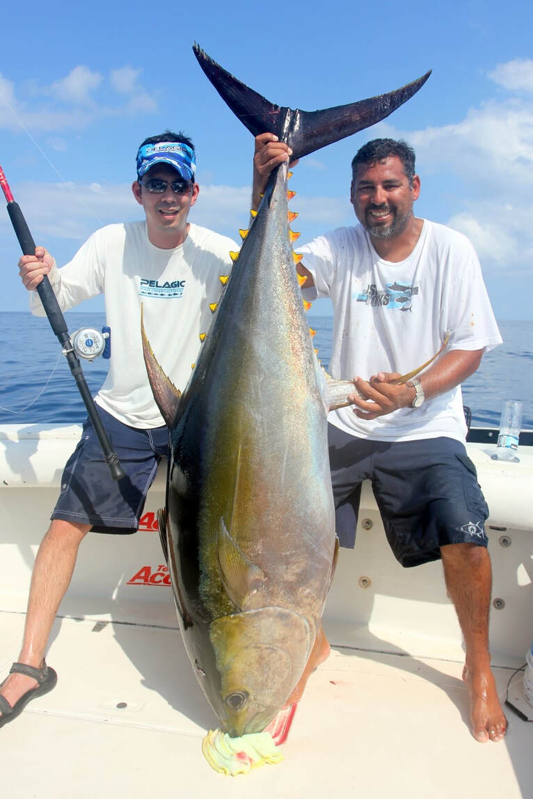 4 Best Saltwater fishing Lures for Fishing Panama Tuna Coast